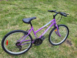 Women's or girls bike