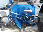 Thruster freestyle bmx 20 inch bicycle
