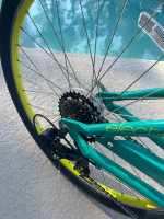 New Townie 7 D