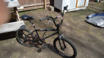 1989 schwinn predator freeform bg