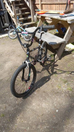 1989 schwinn predator freeform bg
