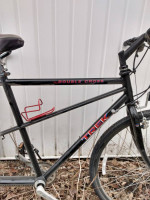 Trek Tandem T100
