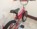 Magna Grid Iron BMX 14"