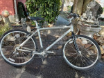 Mongoose
