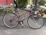 Women's hybrid