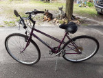 Women's hybrid