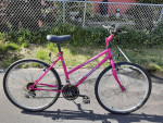 Giant women's bike