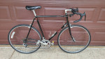 Trek 300 Series 12 Speed Road Bike 24 Inch Bicycle