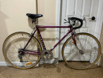Fuji   12 speed