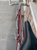 Single Speed Road Bike - 57cm