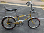 Muscle bike, banana seat bikes. Eliminator.