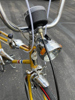 Muscle bike, banana seat bikes. Eliminator.