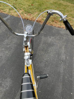 Muscle bike, banana seat bikes. Eliminator.