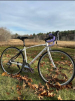 Specialized Dolce Elite Triple 51cm