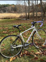Specialized Dolce Elite Triple 51cm