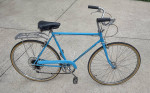Schwinn Suburban Bike