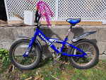Kids Trek 16" bicycle