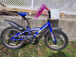Kids Trek 16" bicycle