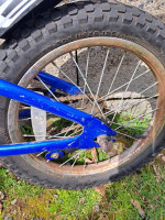 Kids Trek 16" bicycle