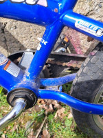 Kids Trek 16" bicycle