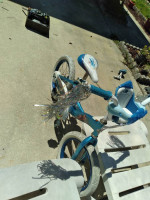 Disney frozen 16inch bike