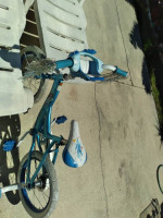 Disney frozen 16inch bike