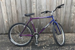Waco Tx Trek 830 Cruiser 20”