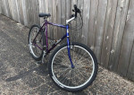 Waco Tx Trek 830 Cruiser 20”