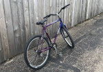 Waco Tx Trek 830 Cruiser 20”