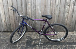 Waco Tx Trek 830 Cruiser 20”