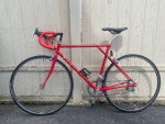 Nashbar Road LP Bike