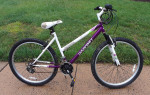 Dynacraft Alpine Eagle bike