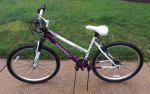 Dynacraft Alpine Eagle bike