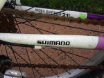 Dynacraft Alpine Eagle bike