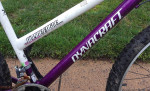 Dynacraft Alpine Eagle bike