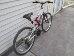 Full Suspension MTB/Fully Tuned