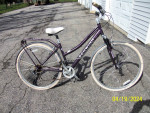 SCHWINN ERRAND