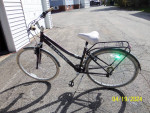 SCHWINN ERRAND