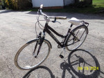 SCHWINN ERRAND