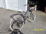 SCHWINN ERRAND