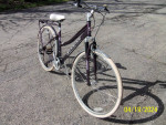 SCHWINN ERRAND