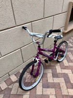 Avigo Galy Gal Purple Bicycle Bike