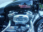 Black 2015 Harley Davidson Sportster 1200 Superlow XL1200T *
