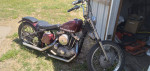 1966 ironhead sportster