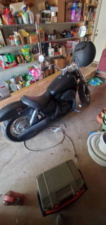 2013 Honda Shadow 750cc 7800 miles