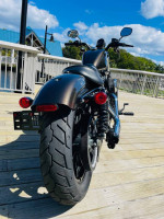 2020 Harley Davidson Iron 883 super nice 2K miles **FINANCING YES***