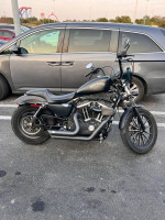 FOR SALE: Harley Davidson Sportster Iron 883