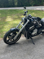 2008 Harley Davidson Night Rod/V Rod