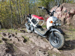 2019 Honda ruckus 50cc
