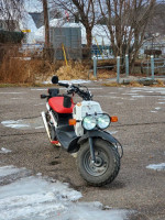 2019 Honda ruckus 50cc